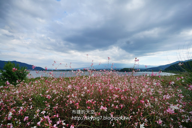 【山梨】富士山河口湖自然生活館