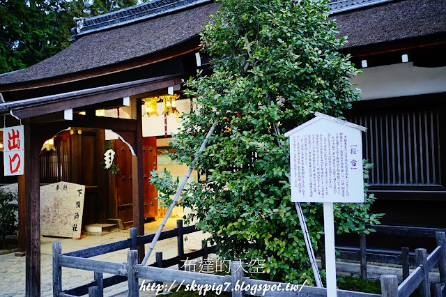 【京都】下鴨神社