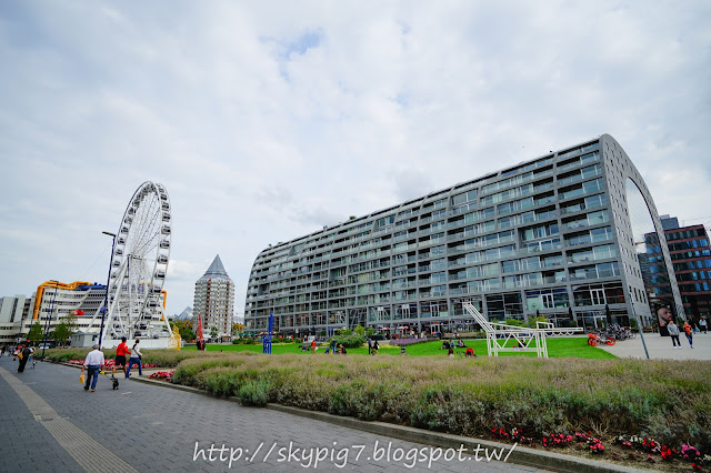 【荷蘭】鹿特丹(Rotterdam)一日遊