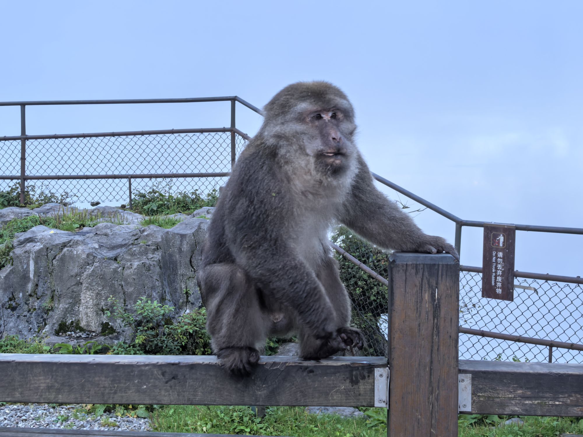 四川旅遊5A景區,樂山大佛、峨眉山、海螺溝、碧峰峽、天台山 四川旅遊5A景區,樂山大佛、峨眉山、海螺溝、碧峰峽、天台山