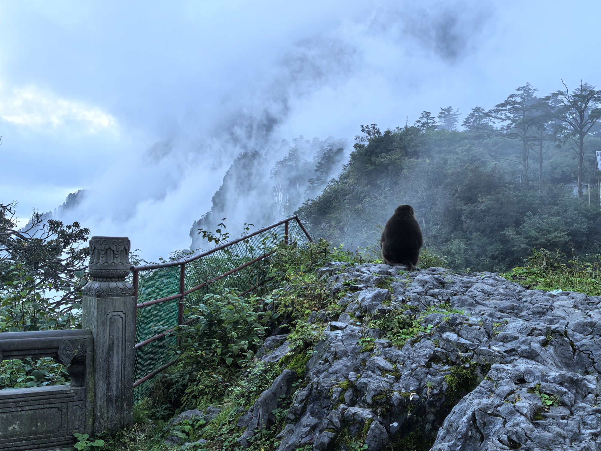 四川旅遊5A景區,樂山大佛、峨眉山、海螺溝、碧峰峽、天台山 四川旅遊5A景區,樂山大佛、峨眉山、海螺溝、碧峰峽、天台山