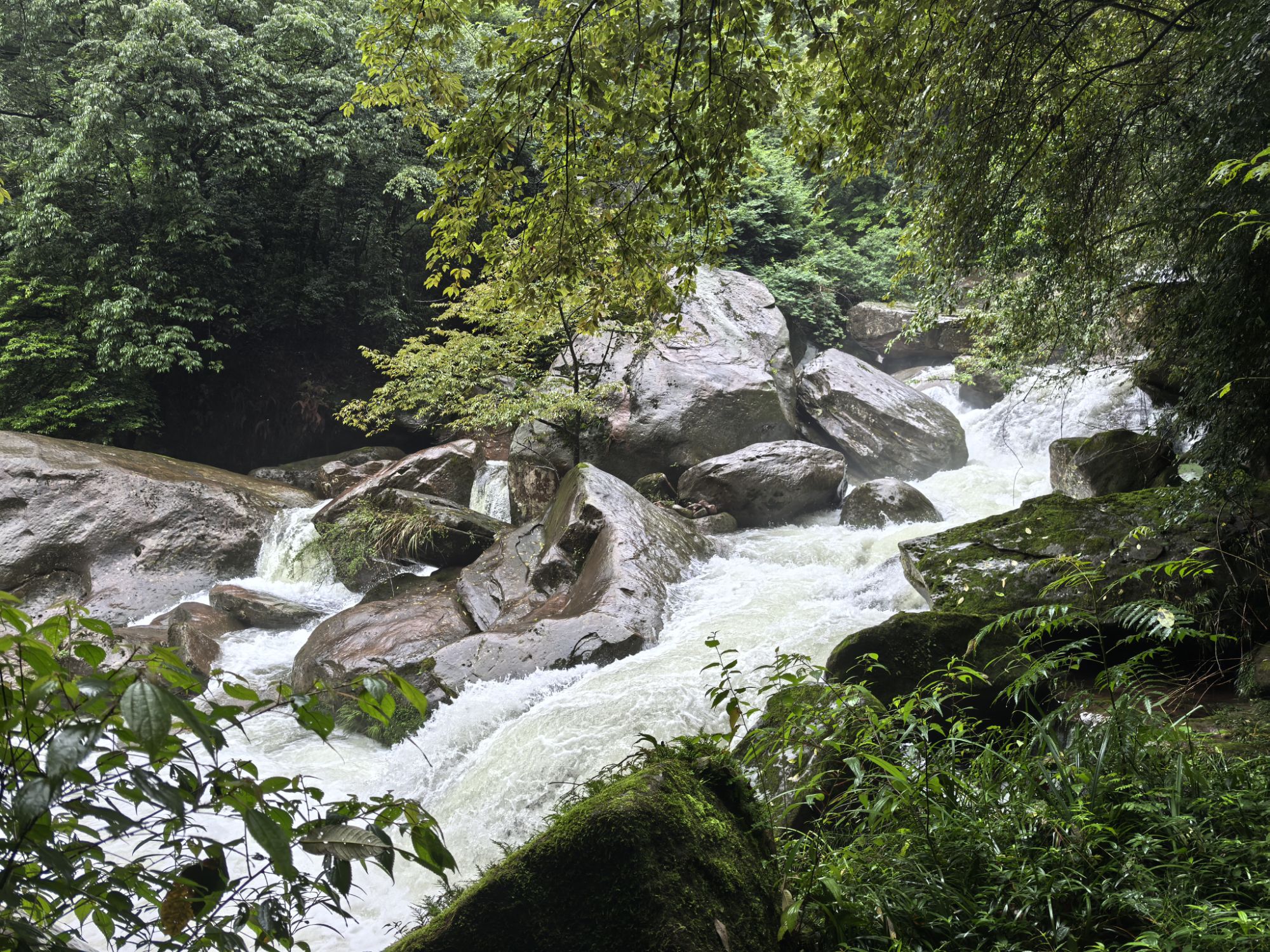 四川旅遊5A景區,樂山大佛、峨眉山、海螺溝、碧峰峽、天台山 四川旅遊5A景區,樂山大佛、峨眉山、海螺溝、碧峰峽、天台山