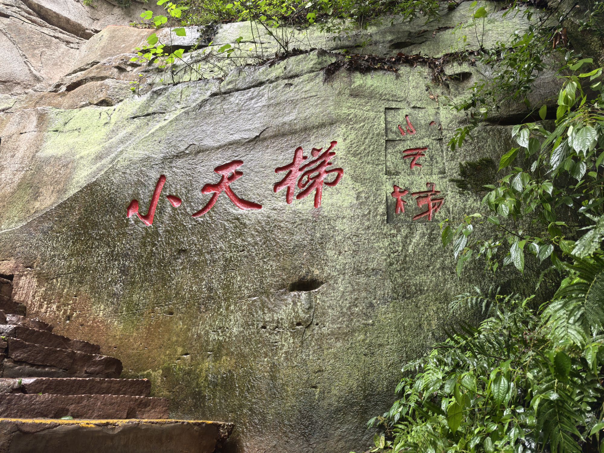 四川旅遊5A景區,樂山大佛、峨眉山、海螺溝、碧峰峽、天台山 四川旅遊5A景區,樂山大佛、峨眉山、海螺溝、碧峰峽、天台山