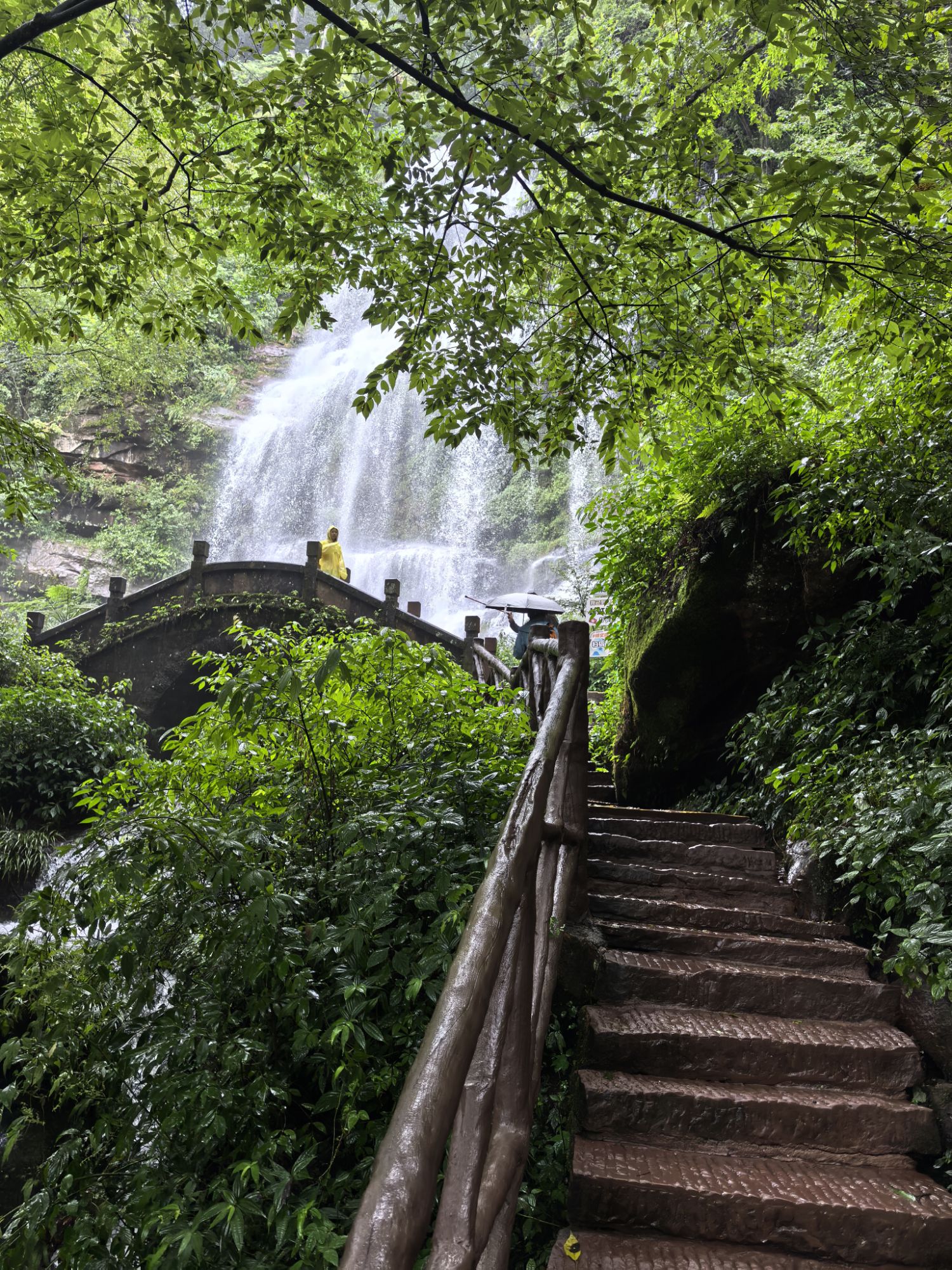 四川旅遊5A景區,樂山大佛、峨眉山、海螺溝、碧峰峽、天台山 四川旅遊5A景區,樂山大佛、峨眉山、海螺溝、碧峰峽、天台山