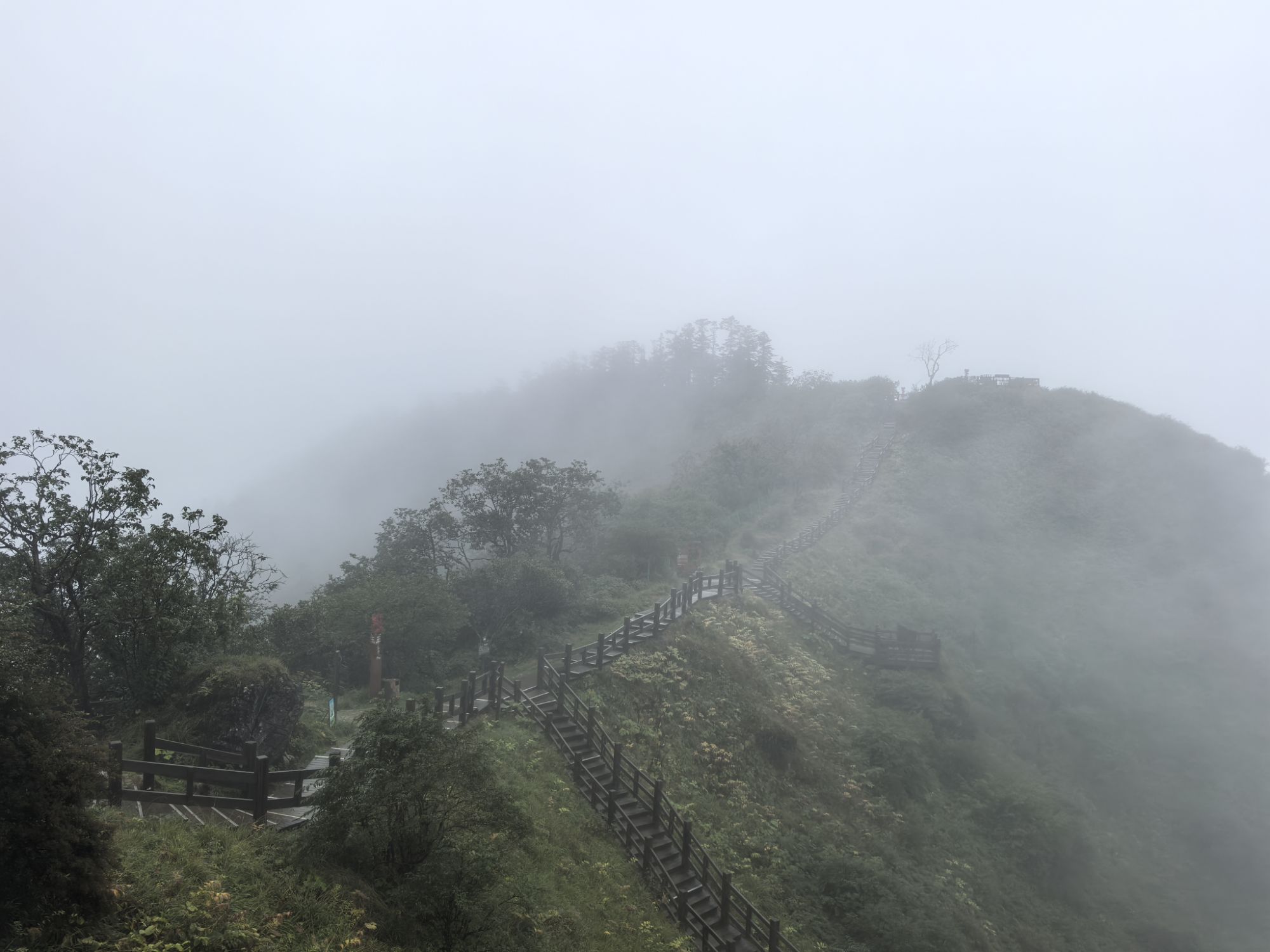四川旅遊5A景區,樂山大佛、峨眉山、海螺溝、碧峰峽、天台山 四川旅遊5A景區,樂山大佛、峨眉山、海螺溝、碧峰峽、天台山