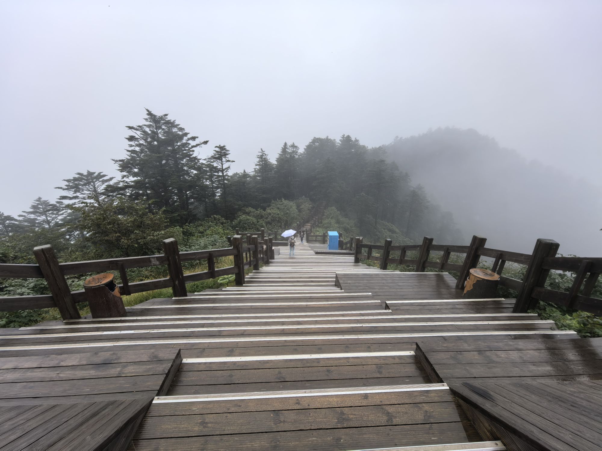 四川旅遊5A景區,樂山大佛、峨眉山、海螺溝、碧峰峽、天台山 四川旅遊5A景區,樂山大佛、峨眉山、海螺溝、碧峰峽、天台山