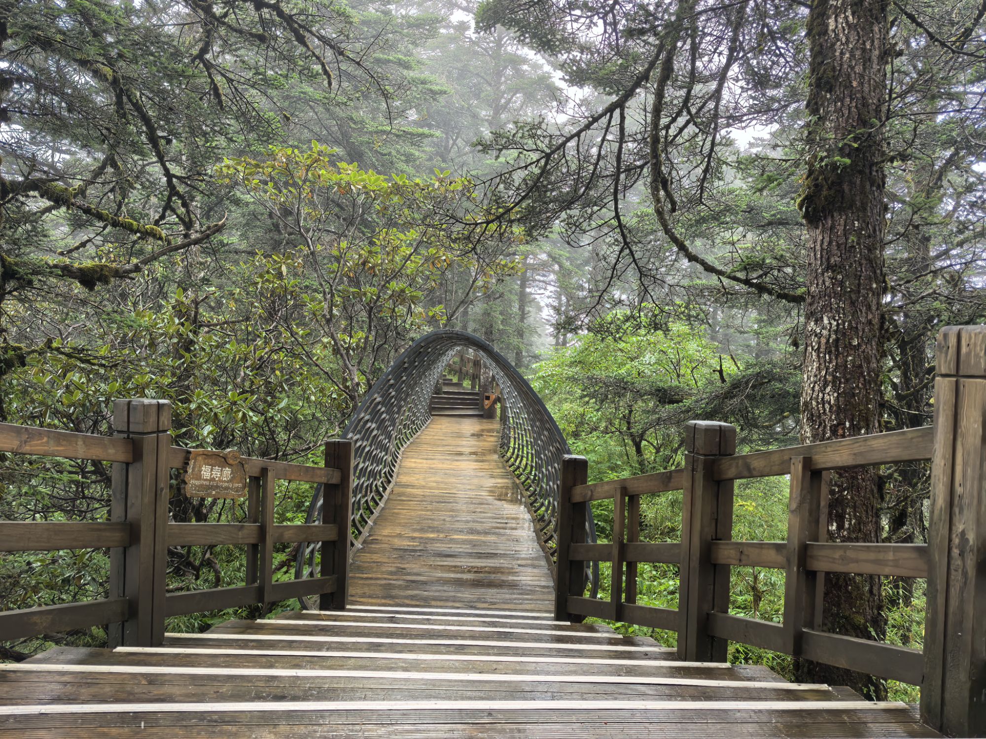 四川旅遊5A景區,樂山大佛、峨眉山、海螺溝、碧峰峽、天台山 四川旅遊5A景區,樂山大佛、峨眉山、海螺溝、碧峰峽、天台山