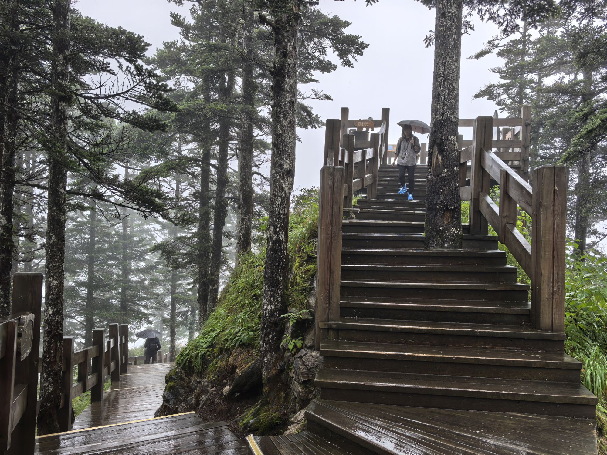 四川旅遊5A景區,樂山大佛、峨眉山、海螺溝、碧峰峽、天台山 四川旅遊5A景區,樂山大佛、峨眉山、海螺溝、碧峰峽、天台山