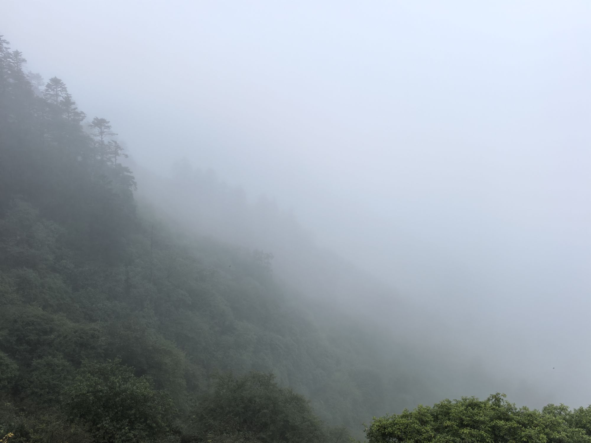 四川旅遊5A景區,樂山大佛、峨眉山、海螺溝、碧峰峽、天台山 四川旅遊5A景區,樂山大佛、峨眉山、海螺溝、碧峰峽、天台山