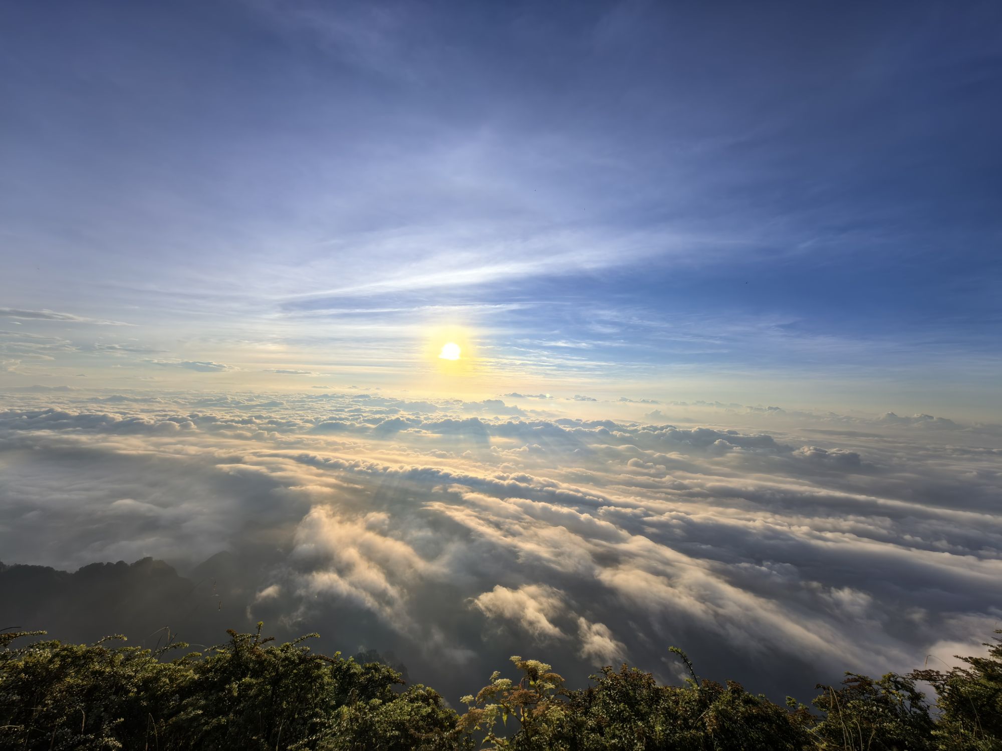 四川旅遊5A景區,樂山大佛、峨眉山、海螺溝、碧峰峽、天台山 四川旅遊5A景區,樂山大佛、峨眉山、海螺溝、碧峰峽、天台山