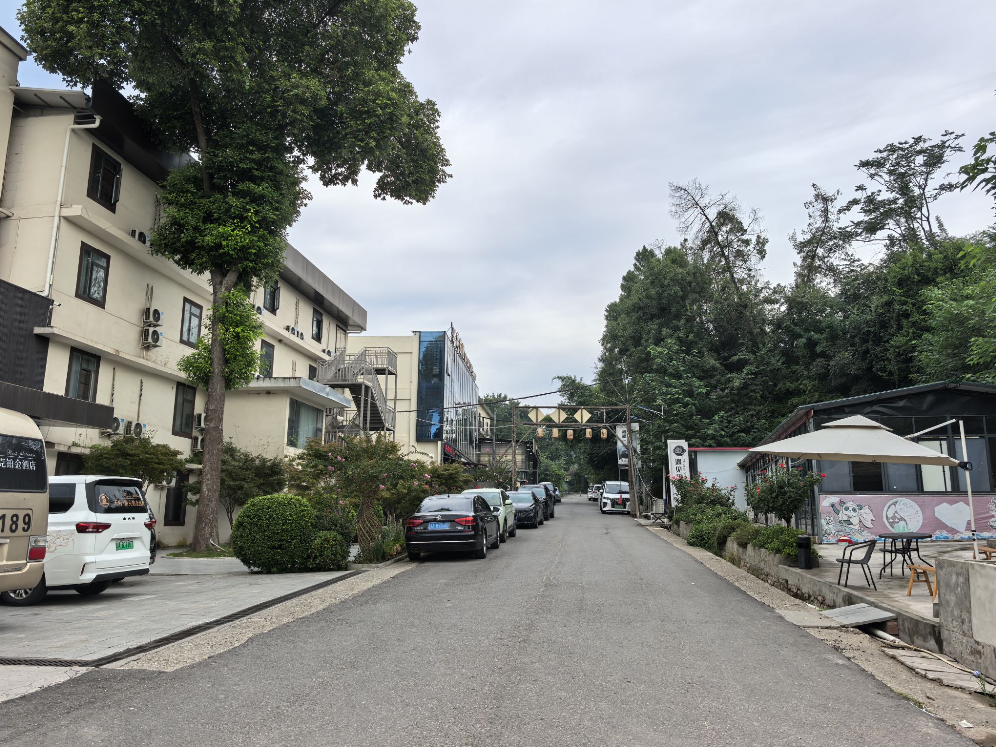 四川旅遊5A景區,樂山大佛、峨眉山、海螺溝、碧峰峽、天台山 四川旅遊5A景區,樂山大佛、峨眉山、海螺溝、碧峰峽、天台山