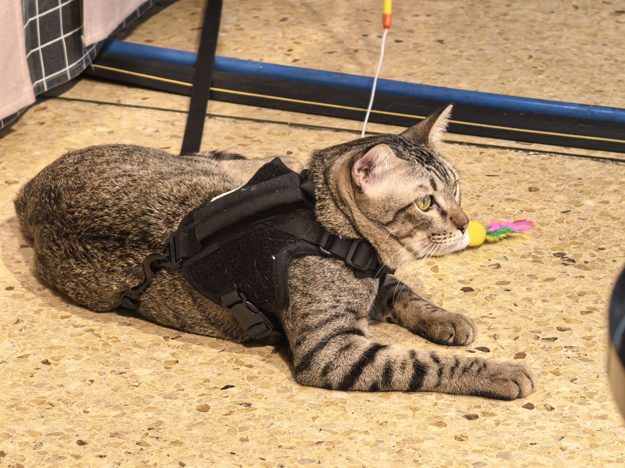 【泰國】泰國旅遊推薦、曼谷、普吉島…自由行程8天7夜 【泰國】泰國旅遊推薦、曼谷、普吉島…自由行程8天7夜