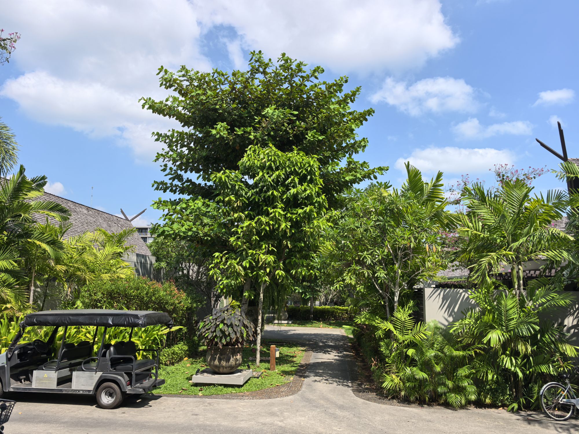 【泰國】泰國旅遊推薦、曼谷、普吉島…自由行程8天7夜 【泰國】泰國旅遊推薦、曼谷、普吉島…自由行程8天7夜