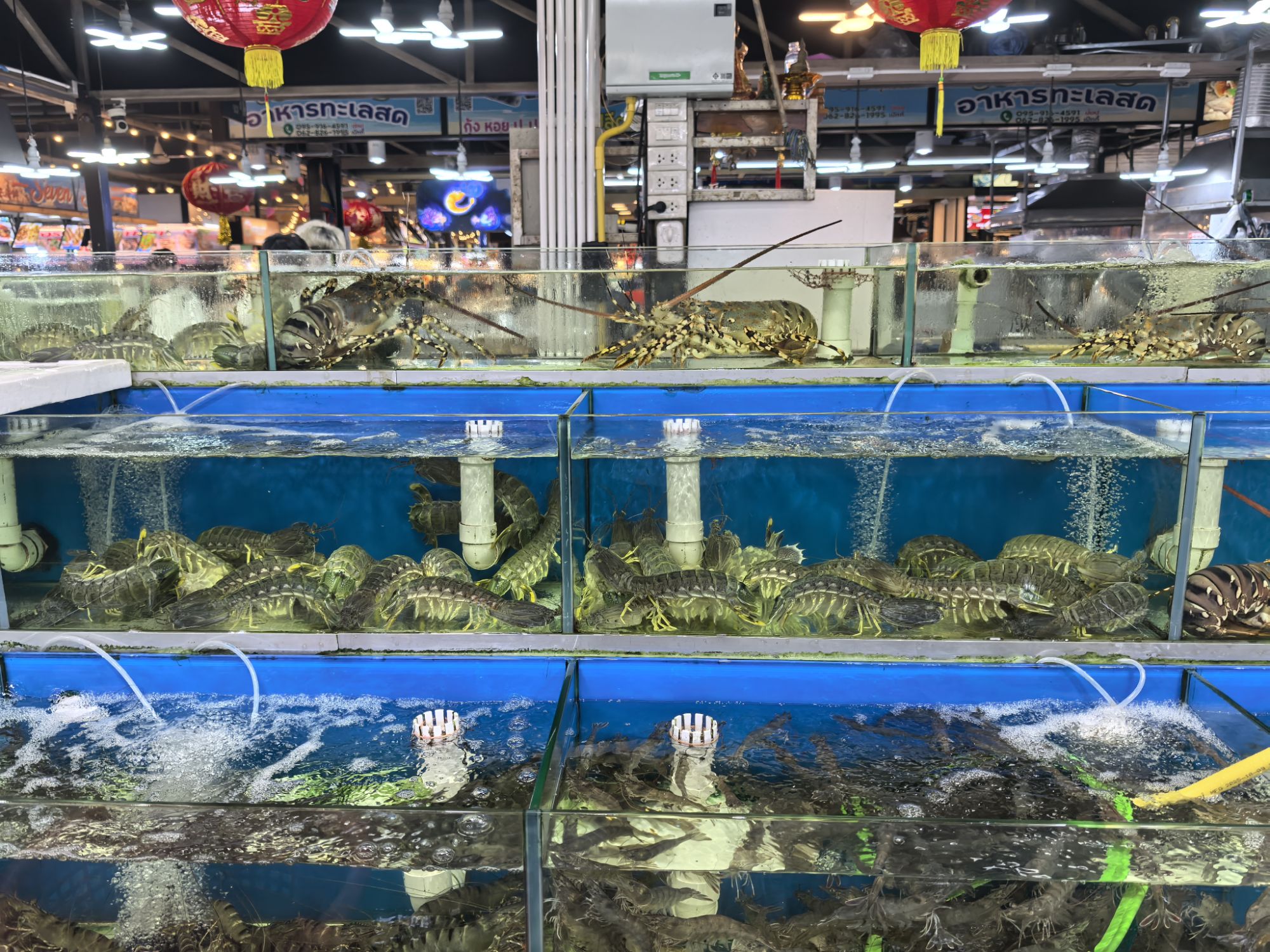 【泰國】泰國旅遊推薦、曼谷、普吉島…自由行程8天7夜 【泰國】泰國旅遊推薦、曼谷、普吉島…自由行程8天7夜