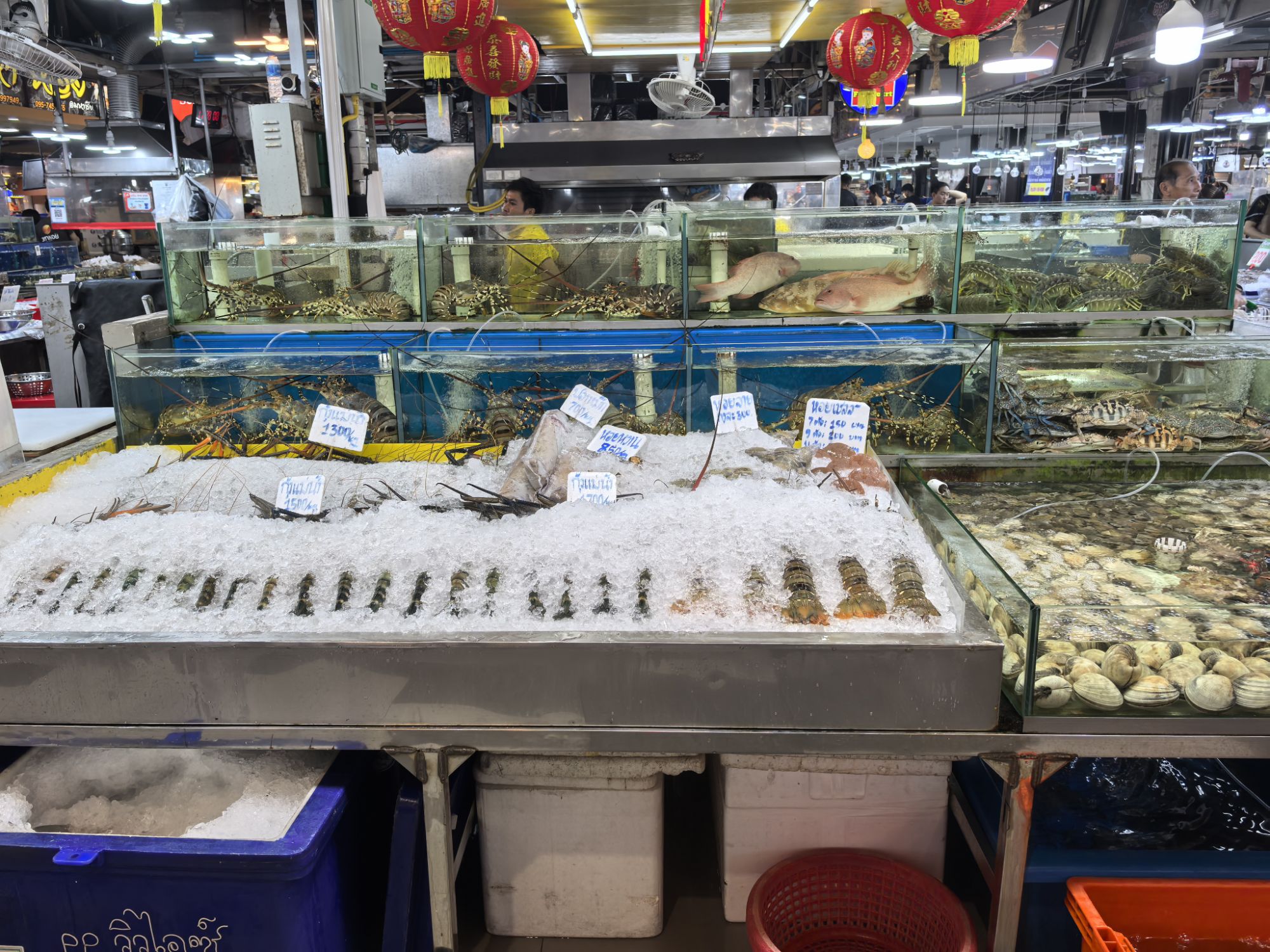 【泰國】泰國旅遊推薦、曼谷、普吉島…自由行程8天7夜 【泰國】泰國旅遊推薦、曼谷、普吉島…自由行程8天7夜